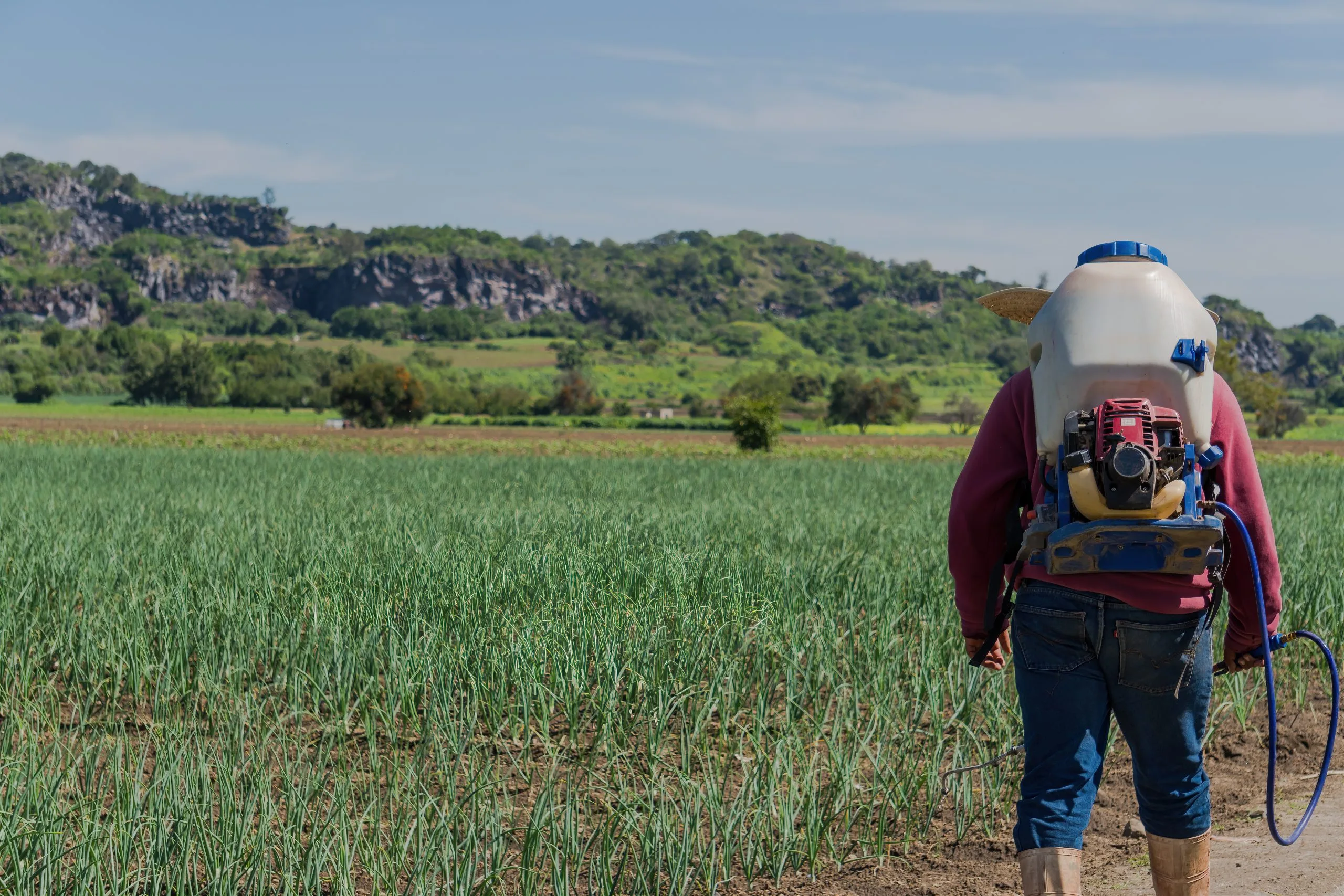South Africa Crop Protection Pesticides Market Outlook to 2035 South-Africa-Crop-Protection-Pesticides-Market-scaled