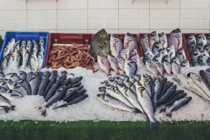 South Africa Frozen Seafood Market Outlook to 2035