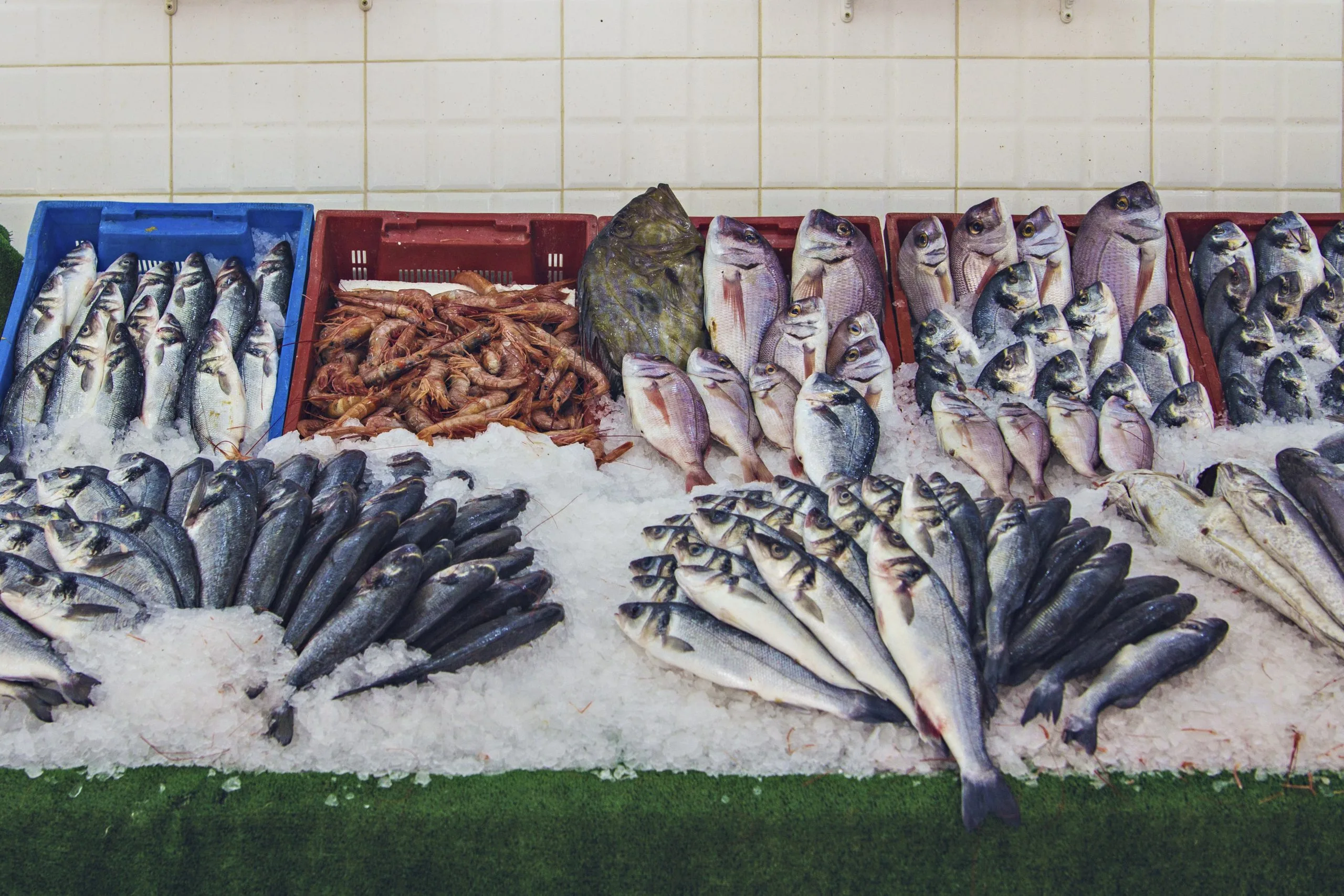 South Africa Frozen Seafood Market Outlook to 2035 South-Africa-Frozen-Seafood-Market-scaled