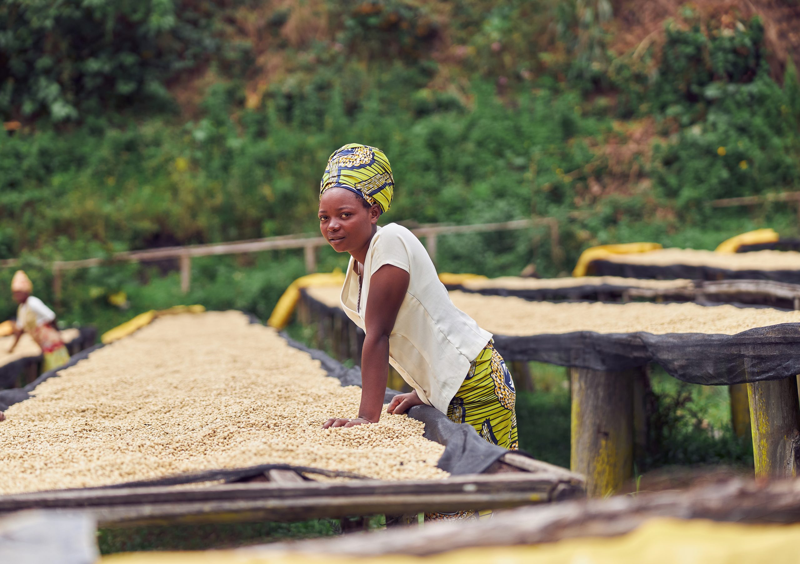 South Africa Rice Milling Machinery Market Outlook to 2035 South-Africa-Rice-Milling-Machinery-Market-scaled