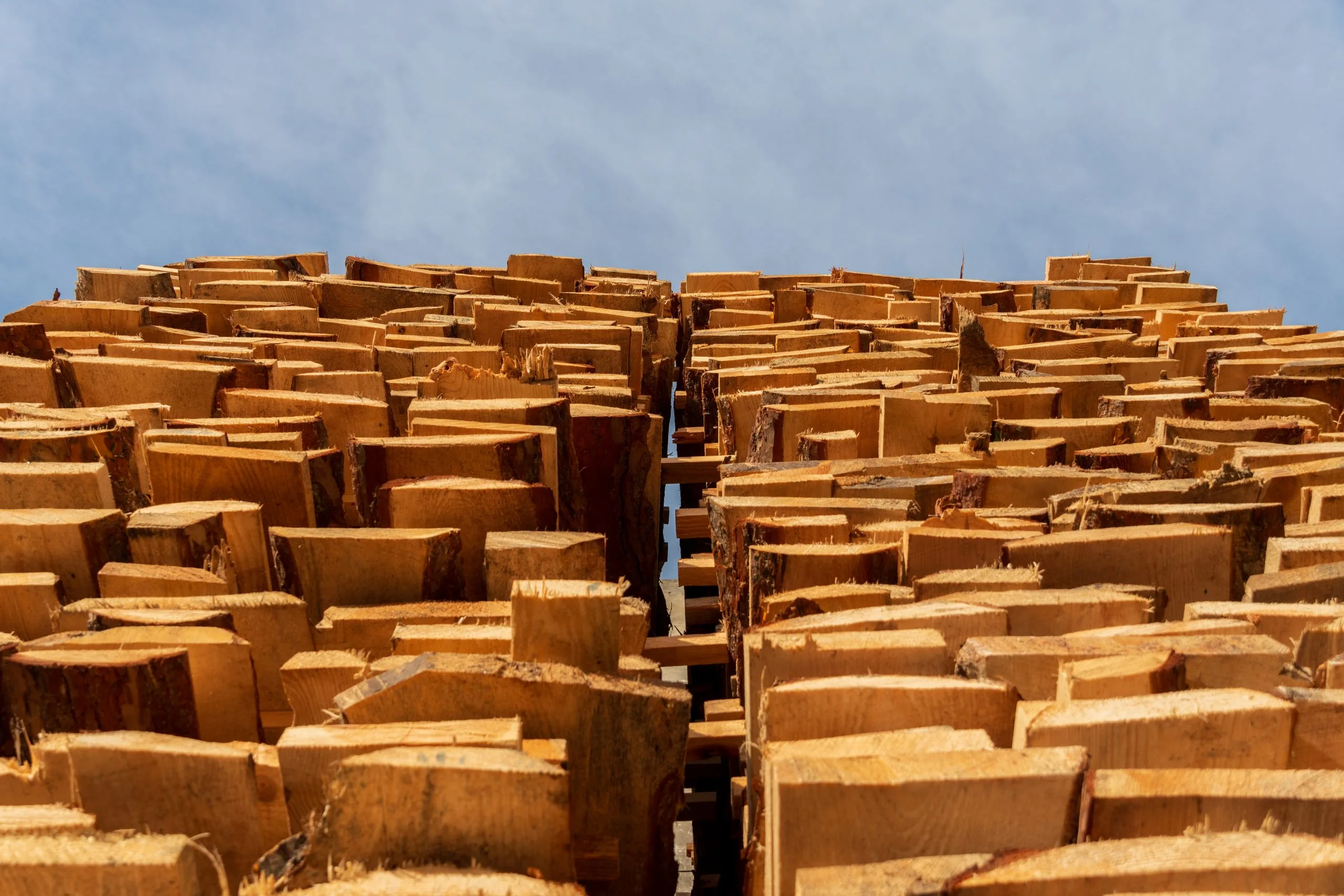 South Africa Sawnwood Market Outlook to 2035 South-Africa-Sawnwood-Market-scaled