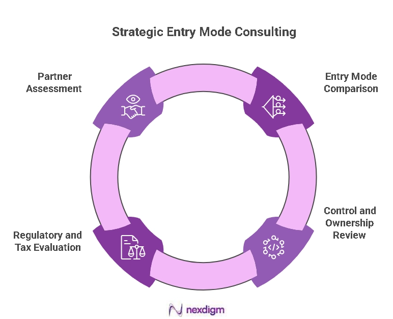 Strategic Entry Mode Consulting