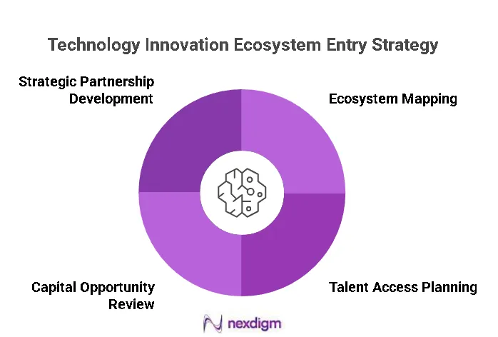 Technology Innovation Ecosystem Entry Strategy