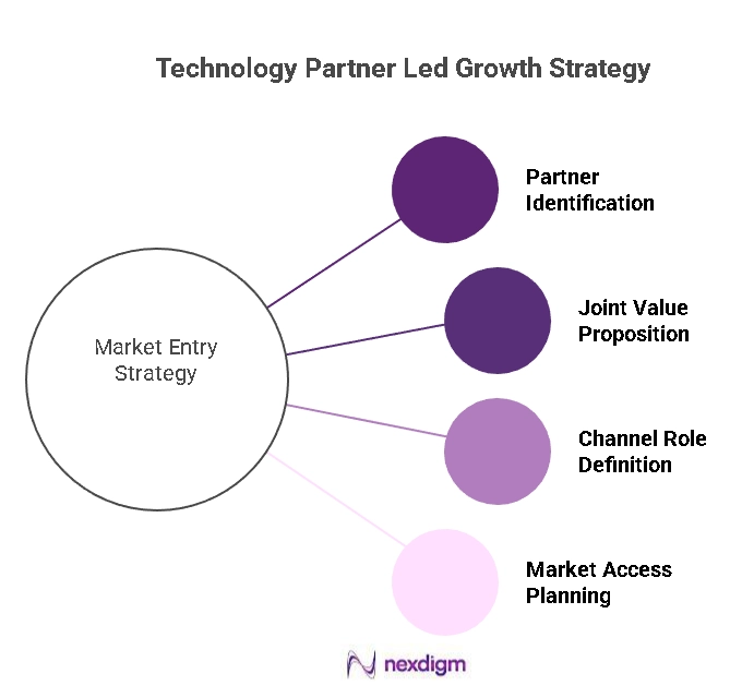 Technology Partner Led Growth Strategy