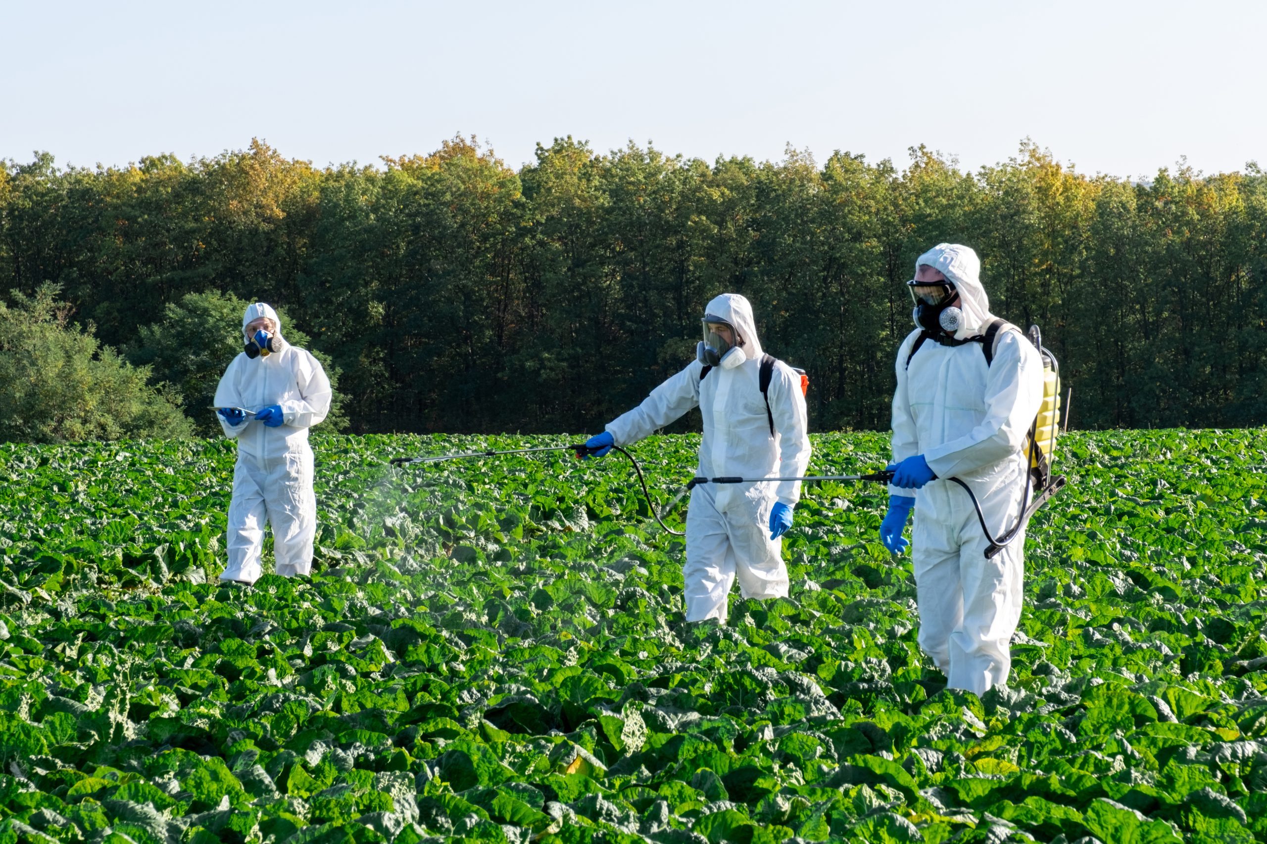 UAE Herbicide Market Outlook to 2035 UAE-Herbicide-Market-scaled