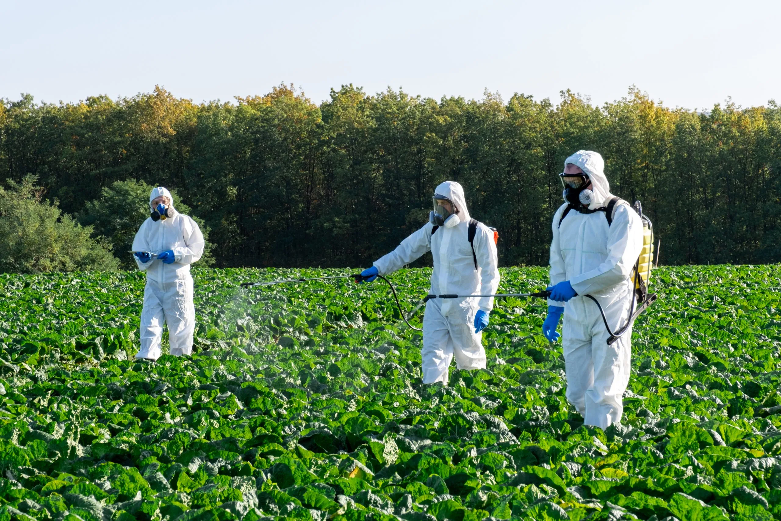 UAE Herbicide Market Outlook to 2035 UAE-Herbicide-Market-scaled