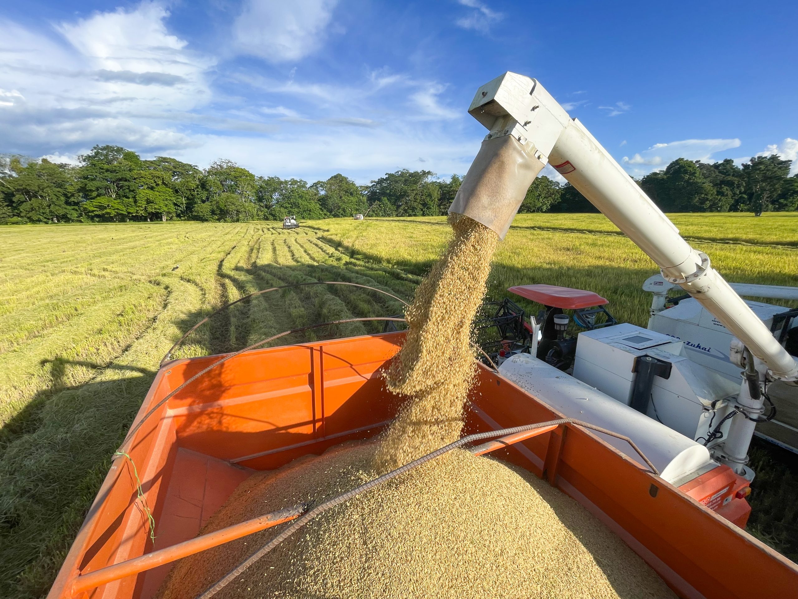 UAE Rice Milling Machinery Market Outlook to 2035 UAE-Rice-Milling-Machinery-Market-scaled