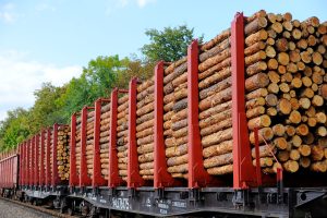 UAE Sawnwood Market Outlook to 2035