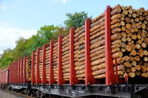 UAE Sawnwood Market Outlook to 2035