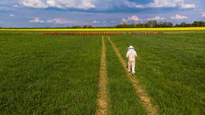 UK Herbicide Market Outlook to 2035