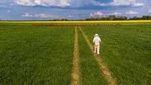 UK Herbicide Market Outlook to 2035