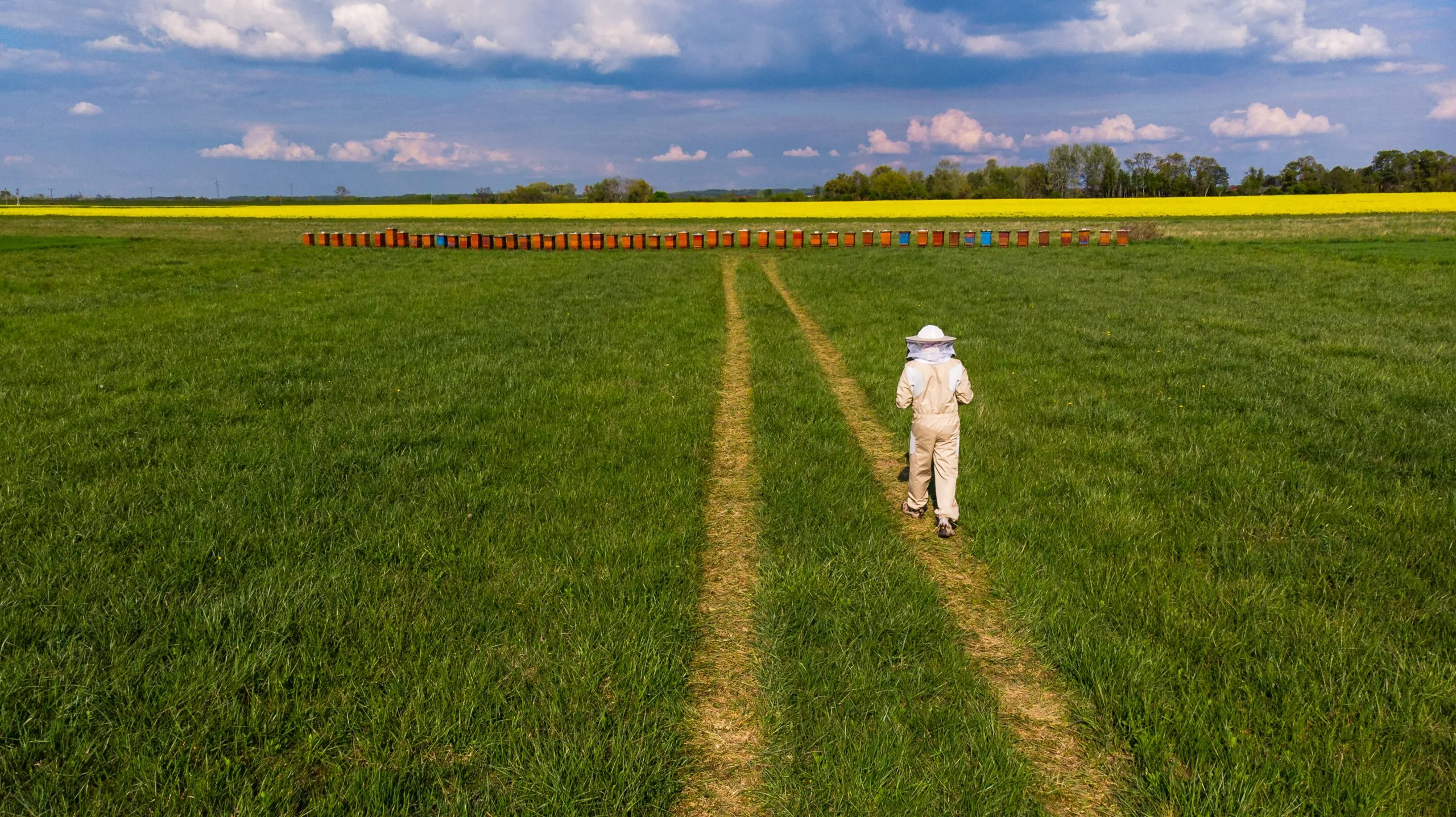 UK Herbicide Market Outlook to 2035 UK-Herbicide-Market-scaled