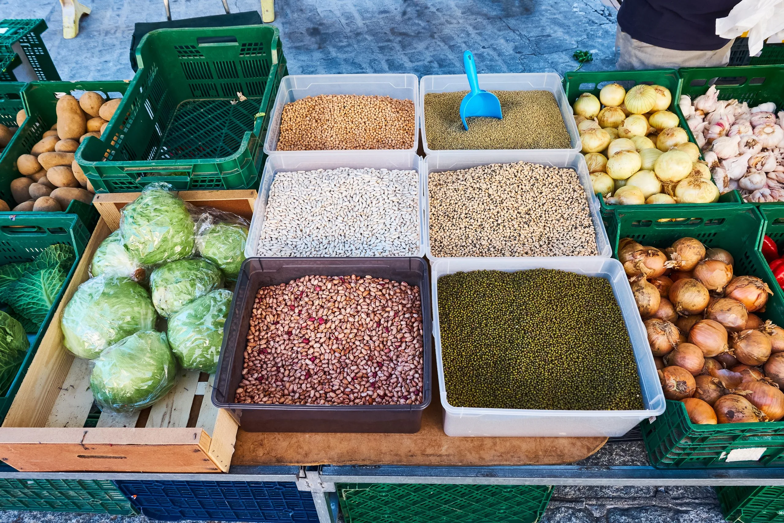 UK Vegetable Seed Market Outlook to 2035 UK-Vegetable-Seed-Market-scaled
