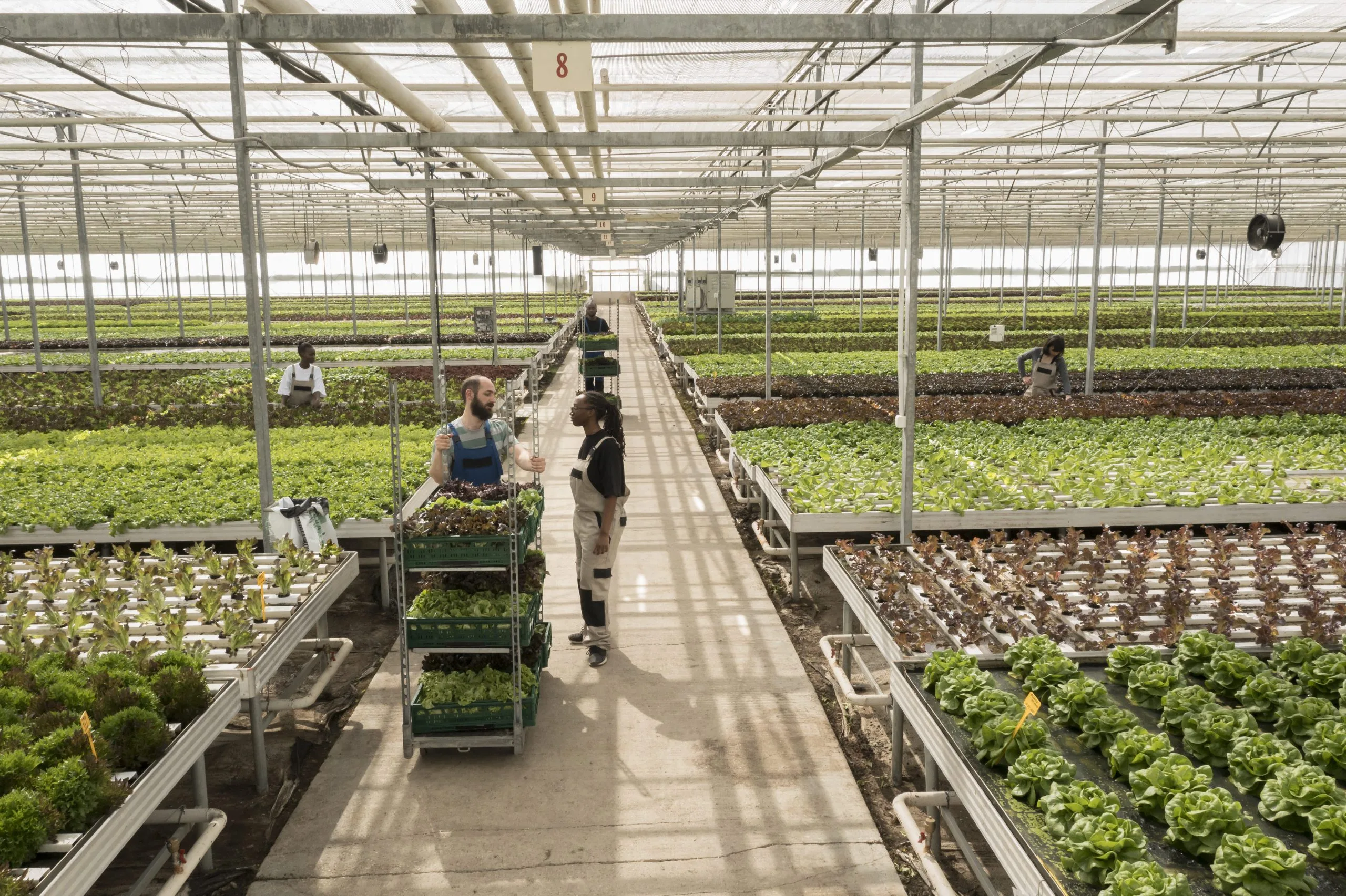 UK Vertical Farming Market Outlook to 2035 UK-Vertical-Farming-Market-scaled