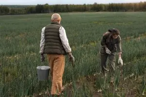 USA Fertilizer Market Outlook to 2035