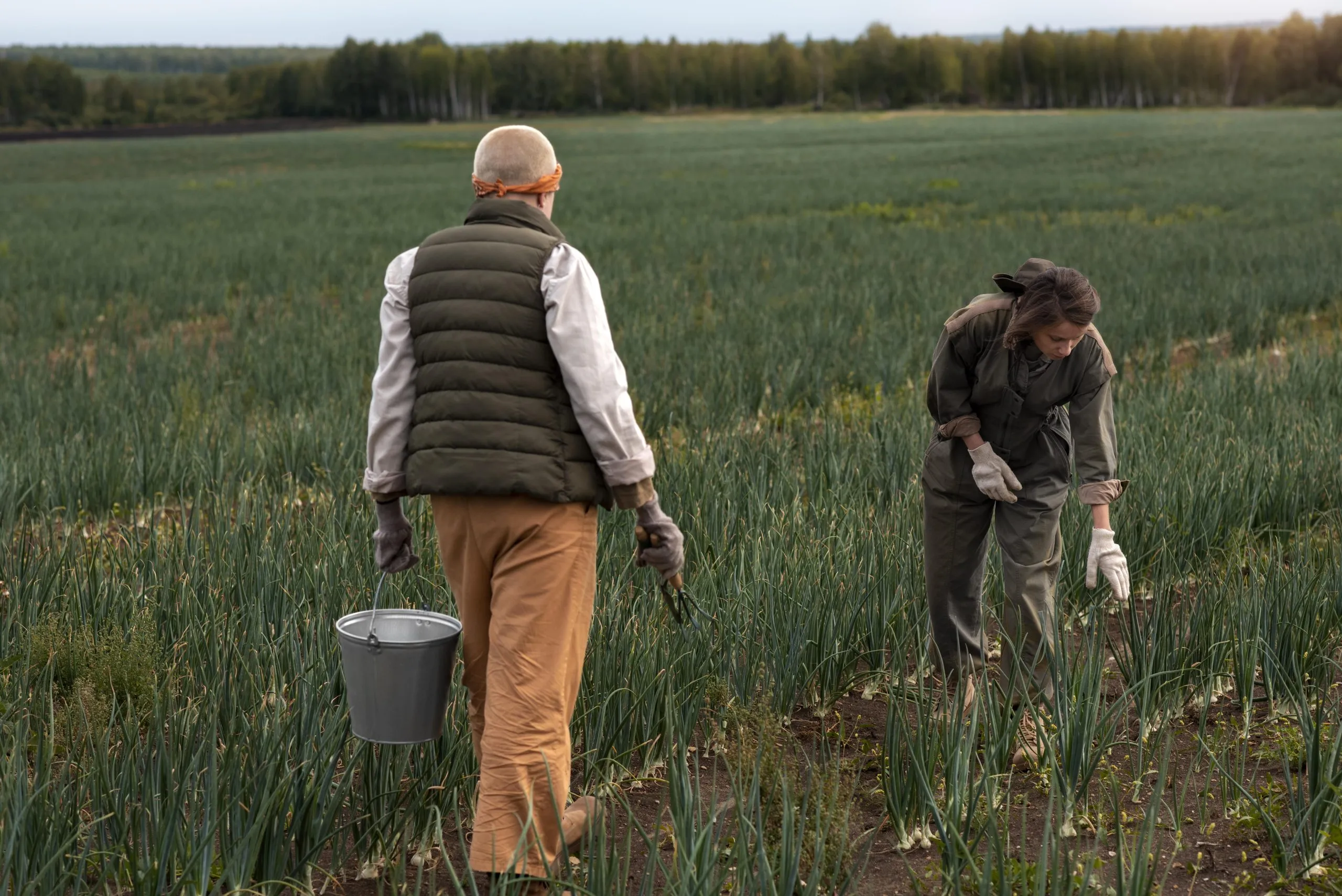 USA Fertilizer Market Outlook to 2035 USA-Fertilizer-Market-scaled