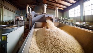 USA Rice Milling Machinery Market Outlook to 2035