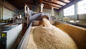 USA Rice Milling Machinery Market Outlook to 2035