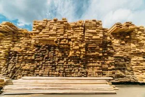 USA Sawnwood Market Outlook to 2035
