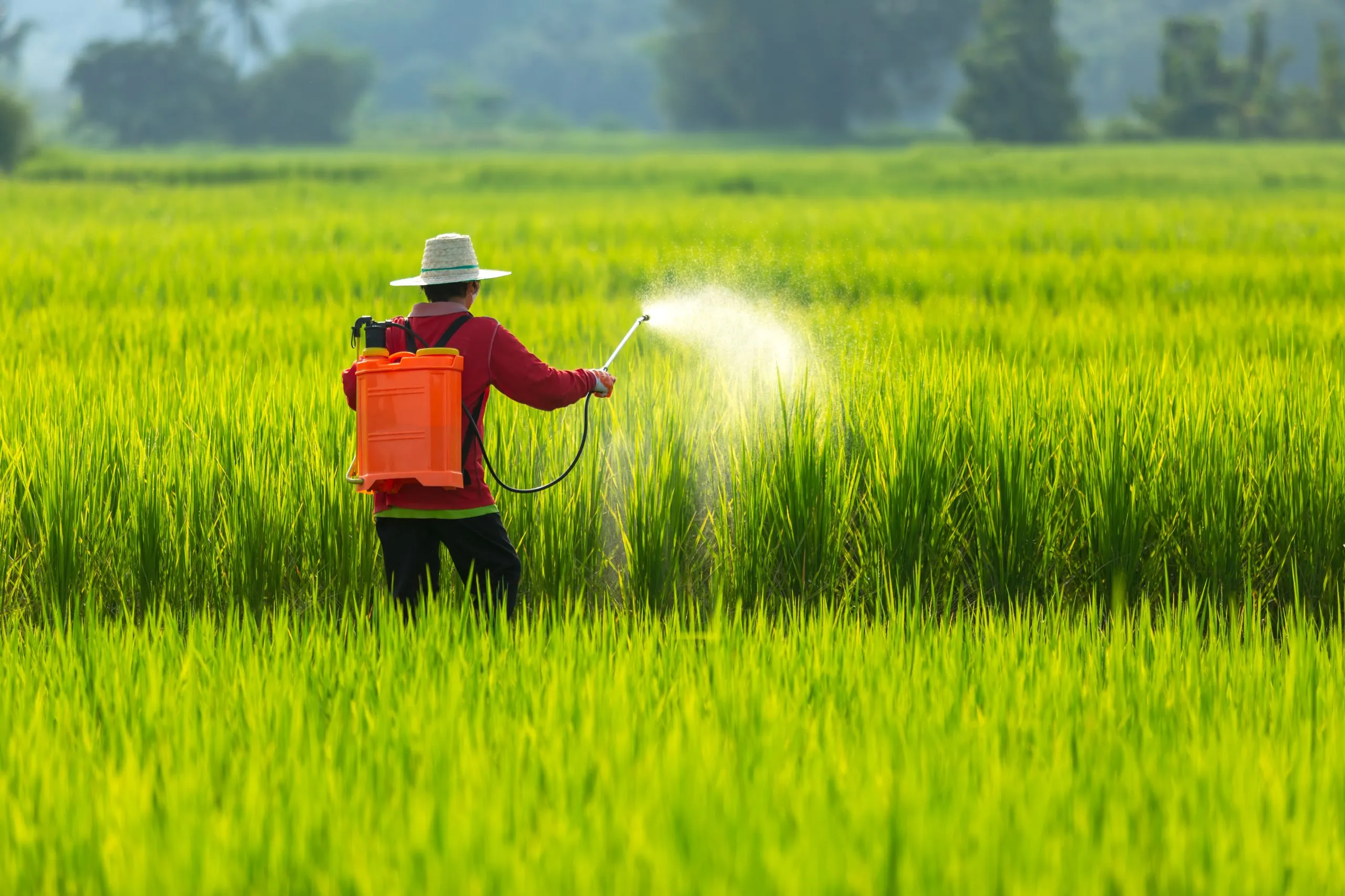 Vietnam Herbicide Market Outlook to 2035 Vietnam-Herbicide-Market-scaled
