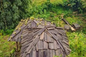 Vietnam Sawnwood Market Outlook to 2035