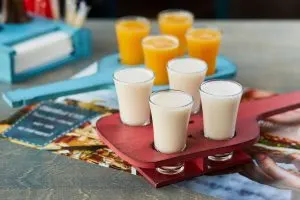 Vietnam Sour Milk Drinks Market Outlook to 2035