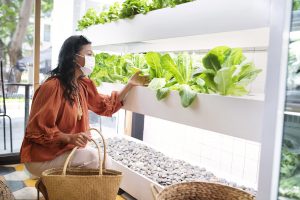 Vietnam Vertical Farming Market Outlook to 2035