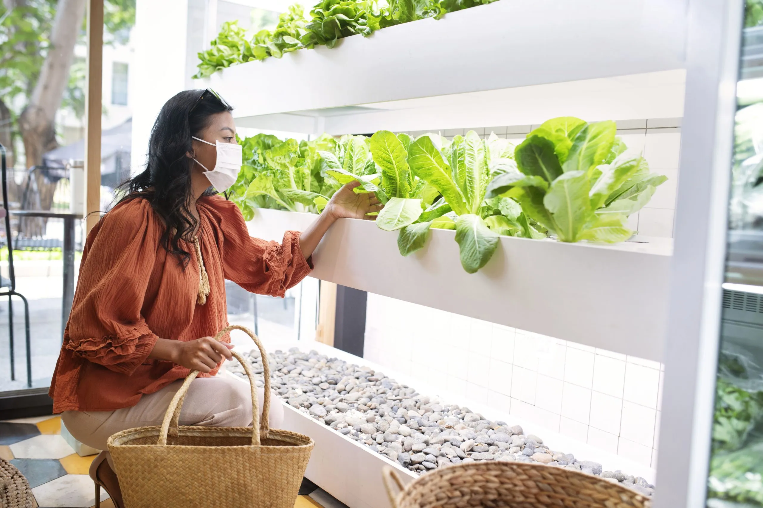 Vietnam Vertical Farming Market Outlook to 2035 Vietnam-Vertical-Farming-Market-1-scaled