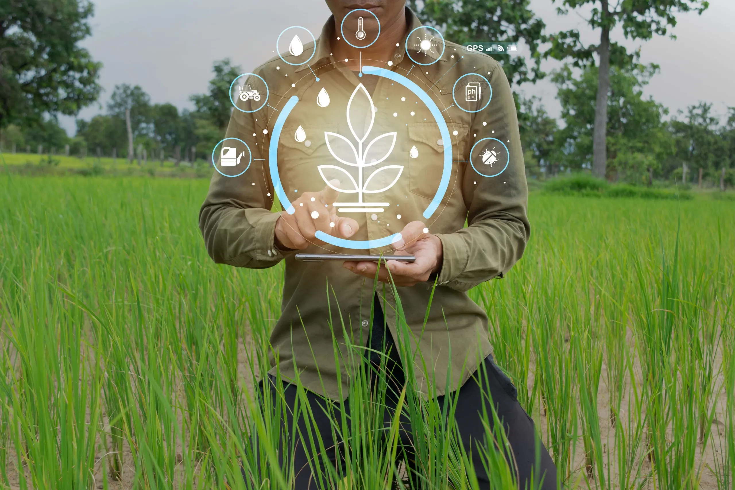 Distribution Channel Strategies Improve Reach Across Fragmented Agricultural Markets agri-input-distribution-channel-entry-strategy-scaled