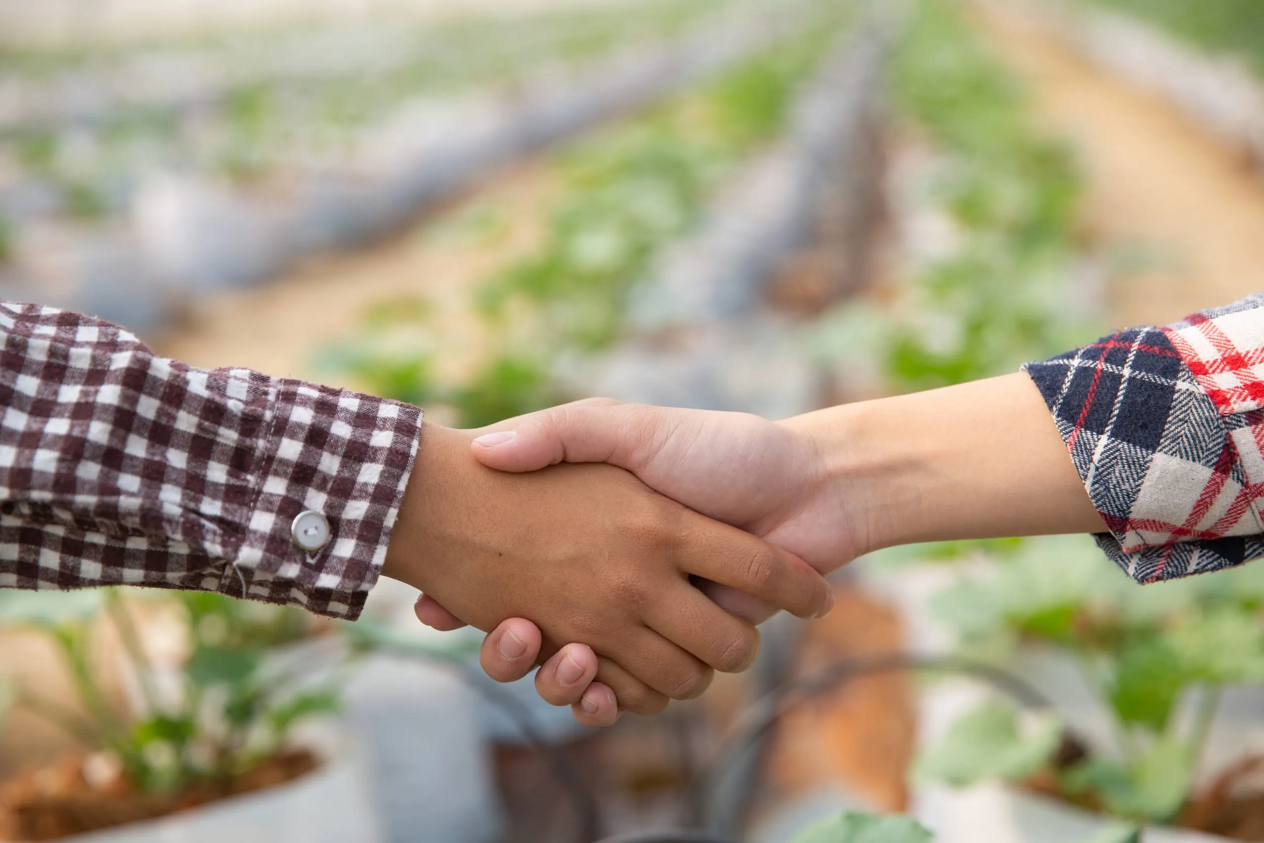 Cooperative Partnerships Strengthen Access to Farmers, Markets and Agricultural Infrastructure agricultural-cooperative-partnership-entry-strategy-scaled