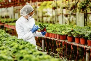 Agrochemical Market Entry Strategies Focus on Performance, Distribution and Regulatory Compliance 