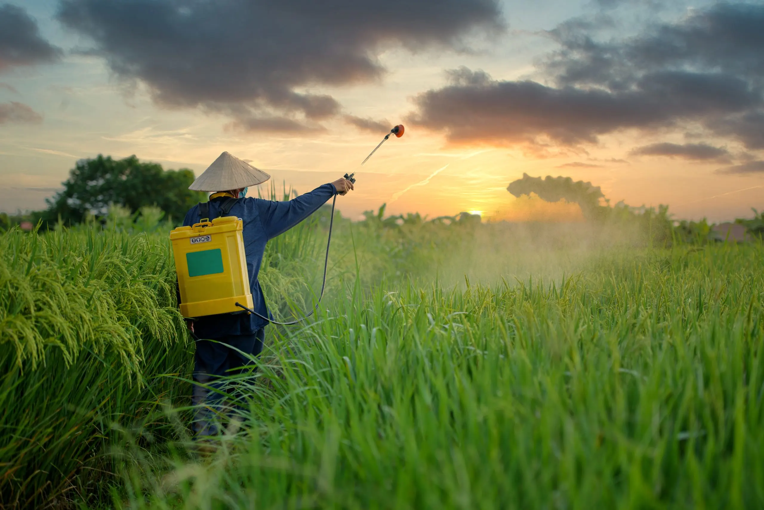 Philippines Insecticide Market Outlook to 2035 asian-farmers-spray-herbicides-field-scaled