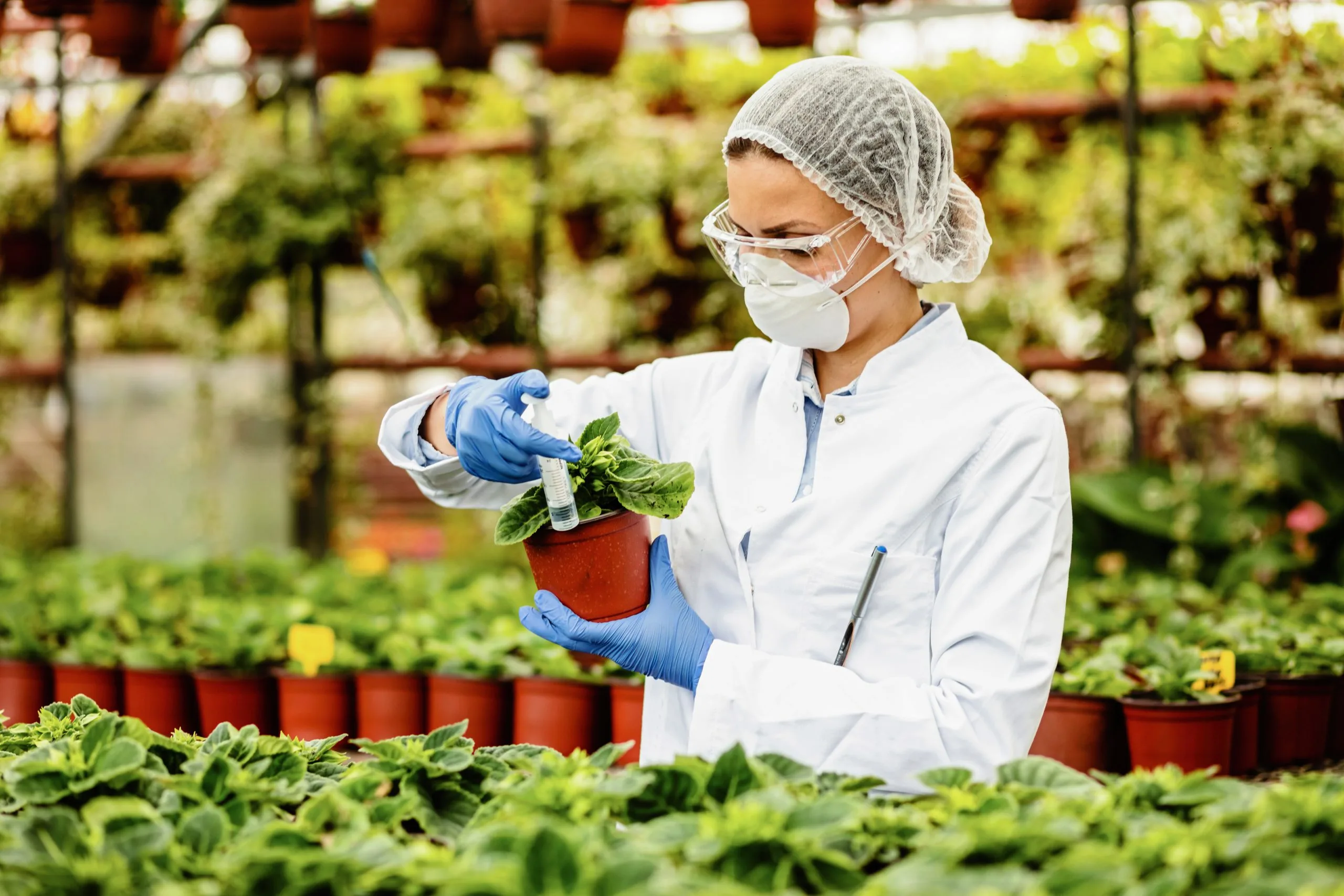 Biopesticides Gain Traction as Sustainable Farming Practices Expand Across Global Agriculture biopesticide-market-entry-feasibility-scaled