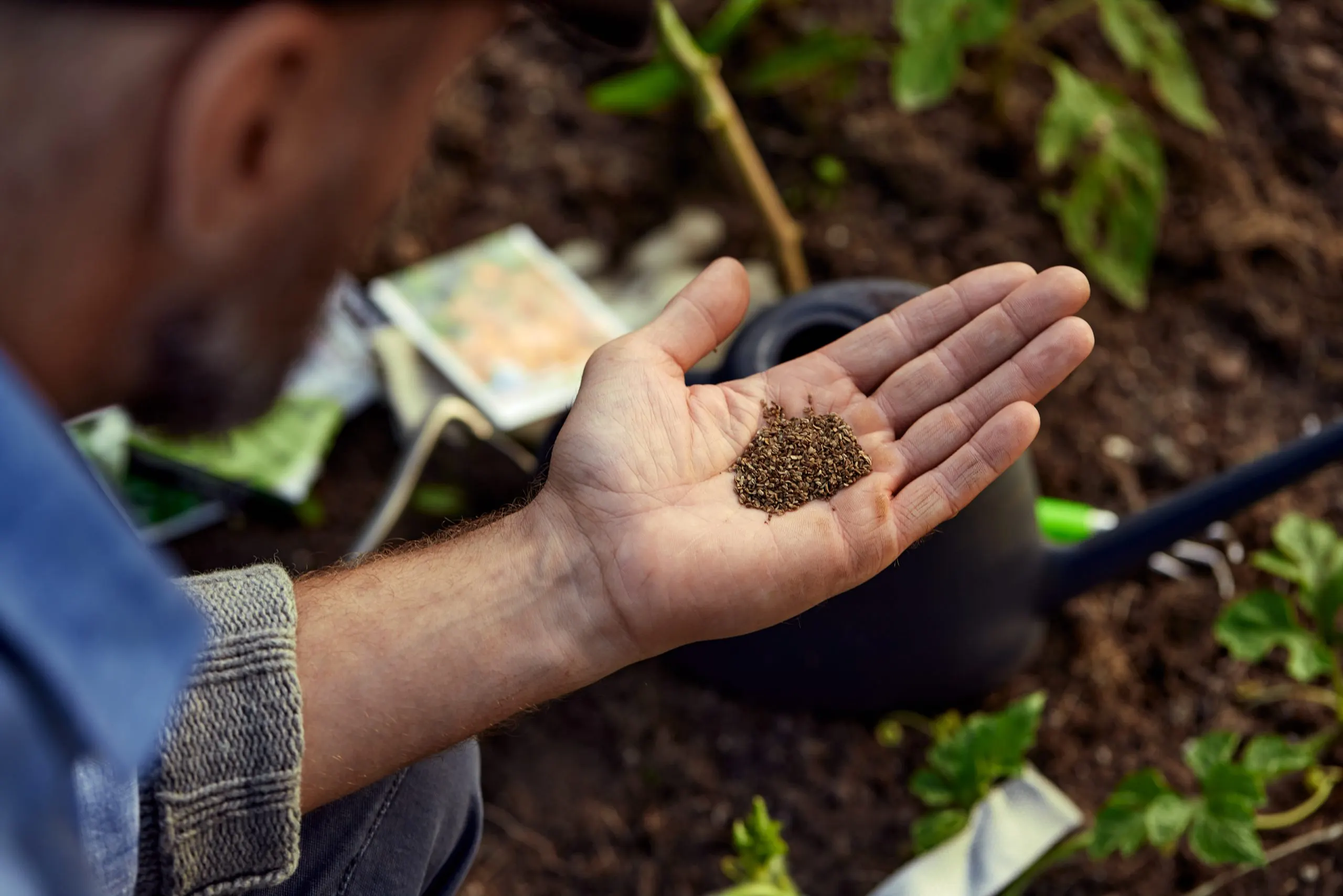 UAE Controlled Release Fertilizer Market Outlook to 2035 close-up-male-farmer-with-soybean-seed-his-hands-scaled