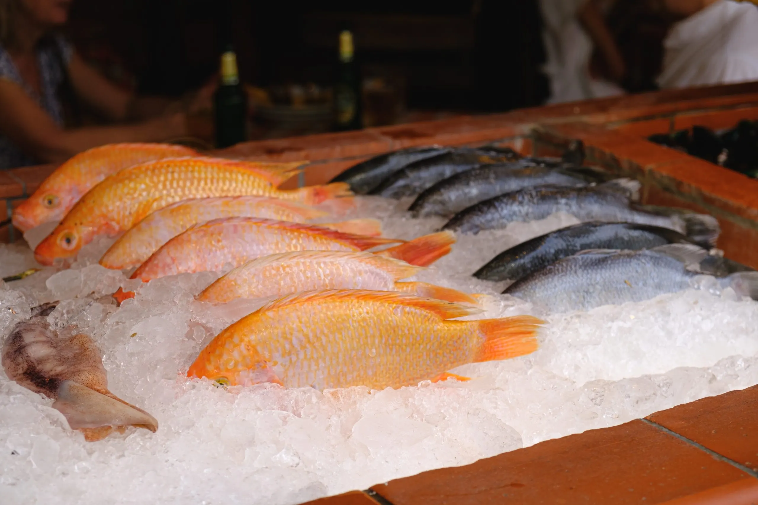 KSA Frozen Seafood Market Expands with 1 Billion Industry Value and Rising Demand counter-seafood-restaurant-demonstration-fresh-catch-dinner-1-scaled