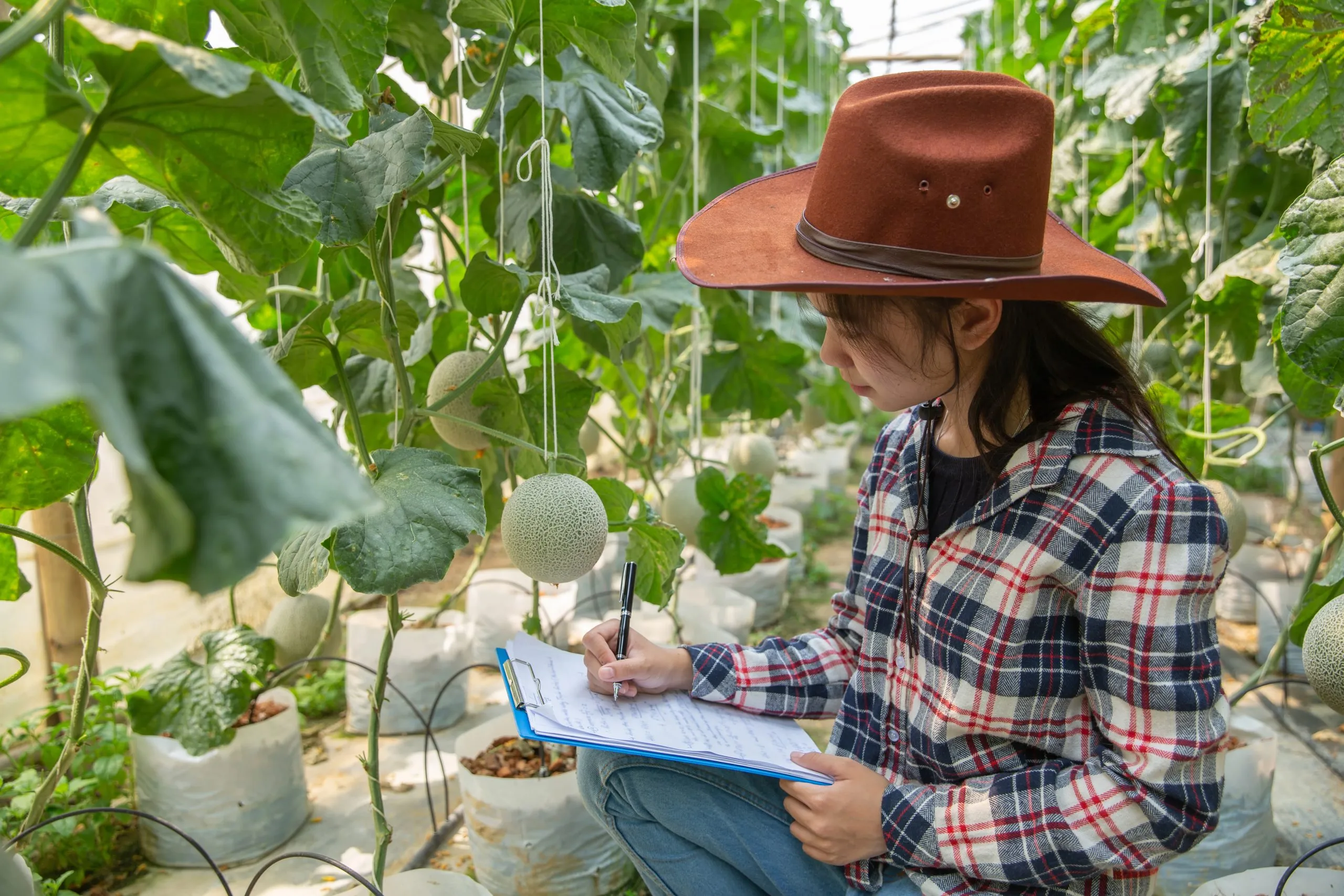 Crop Protection Markets Continue to Expand as Farmers Address Yield Loss and Pest Pressure Challenges crop-protection-market-entry-analysis-scaled