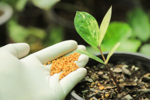 Singapore Micronutrient Fertilizer Market Outlook to 2035