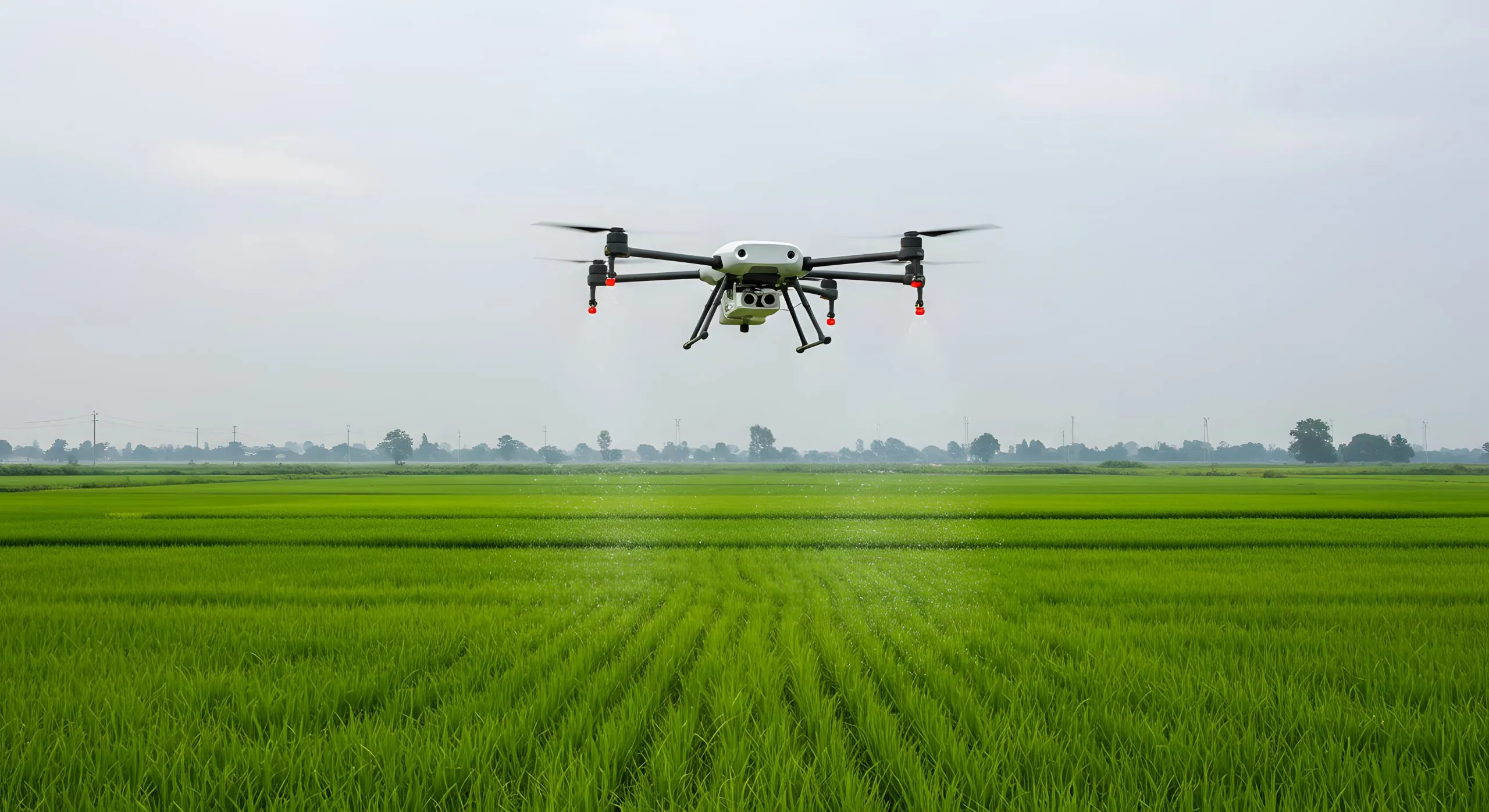 Singapore Agriculture Drones Market Outlook to 2035 drone-spraying-crops-rice-field-scaled