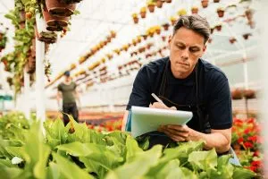How Farm Management Software Providers Capture Opportunities in Modern Agricultural Operations 