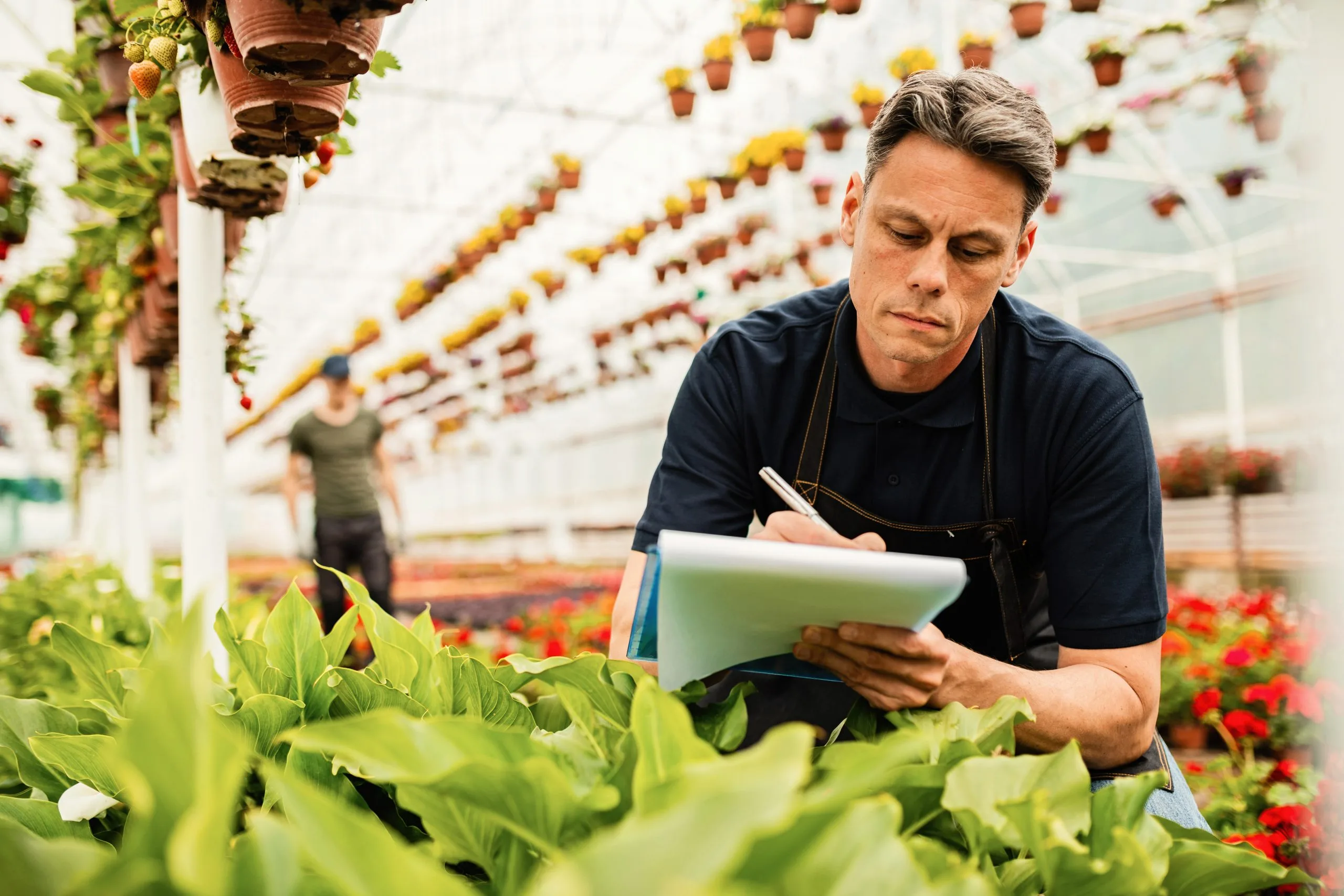 How Farm Management Software Providers Capture Opportunities in Modern Agricultural Operations farm-management-software-market-entry-analysis-scaled