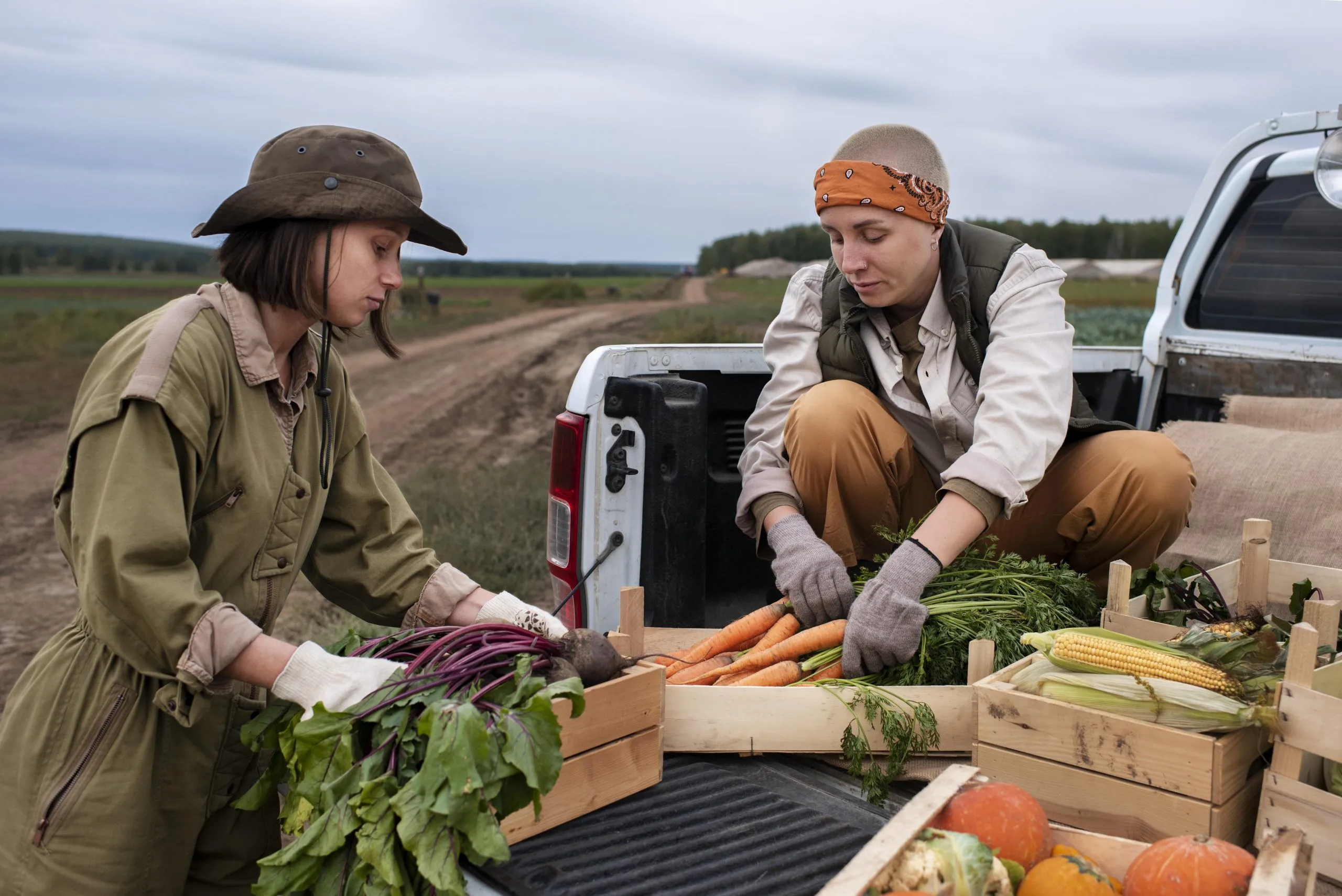Farm-to-Market Logistics Networks Gain Importance as Agricultural Trade Volumes Increase farm-to-market-logistics-entry-strategy-scaled