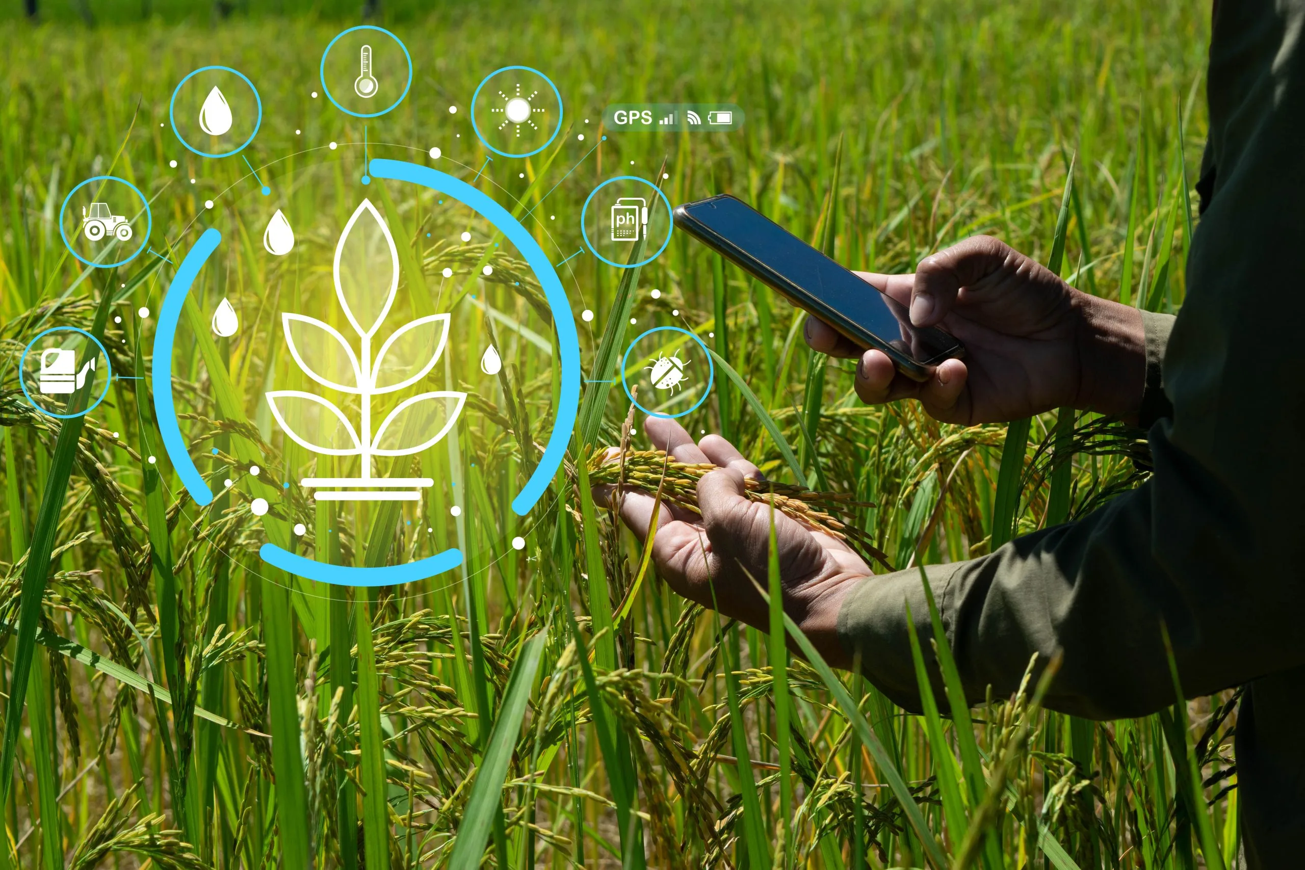 Farmer Network Strategies Improve Adoption and Market Penetration Across Agricultural Communities farmer-network-development-strategy-scaled