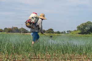 Nigeria Insecticide Market Outlook to 2035