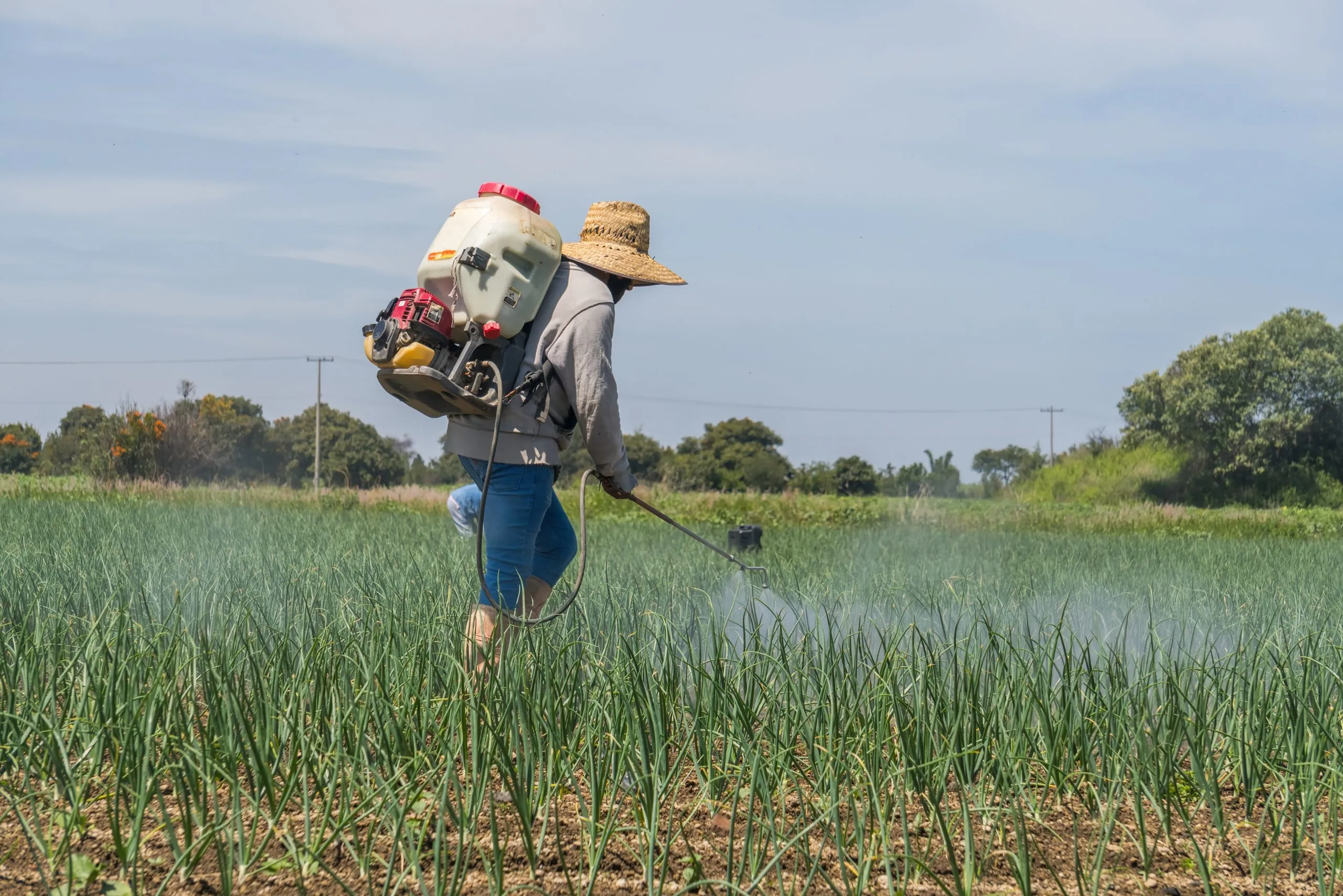 Nigeria Insecticide Market Outlook to 2035 farmer-spraying-fertilizers-onion-field-scaled
