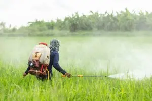 USA Insecticide Market Outlook to 2035