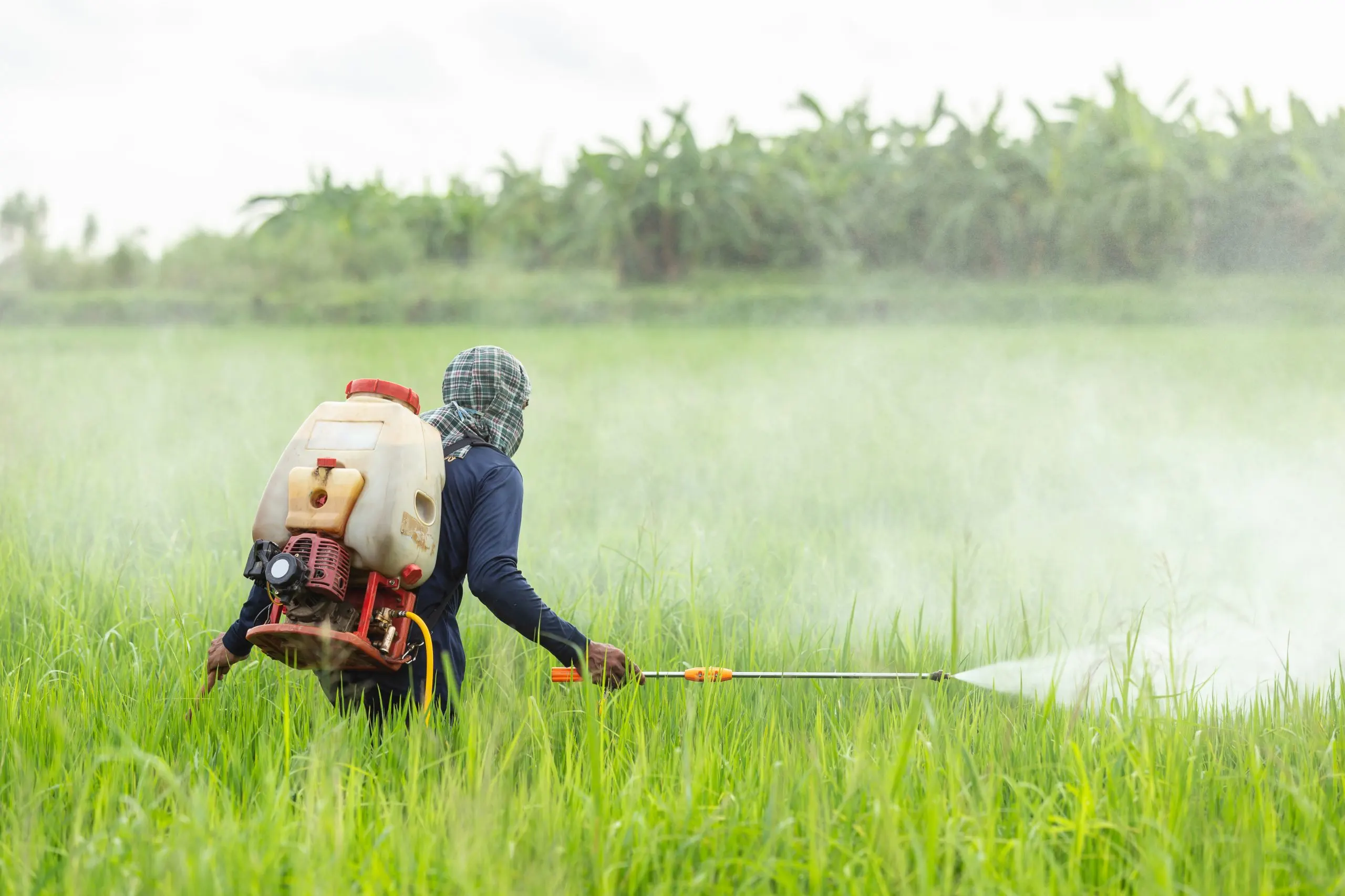 USA Insecticide Market Outlook to 2035 farmer-with-machine-spraying-chemical-young-green-rice-field-scaled