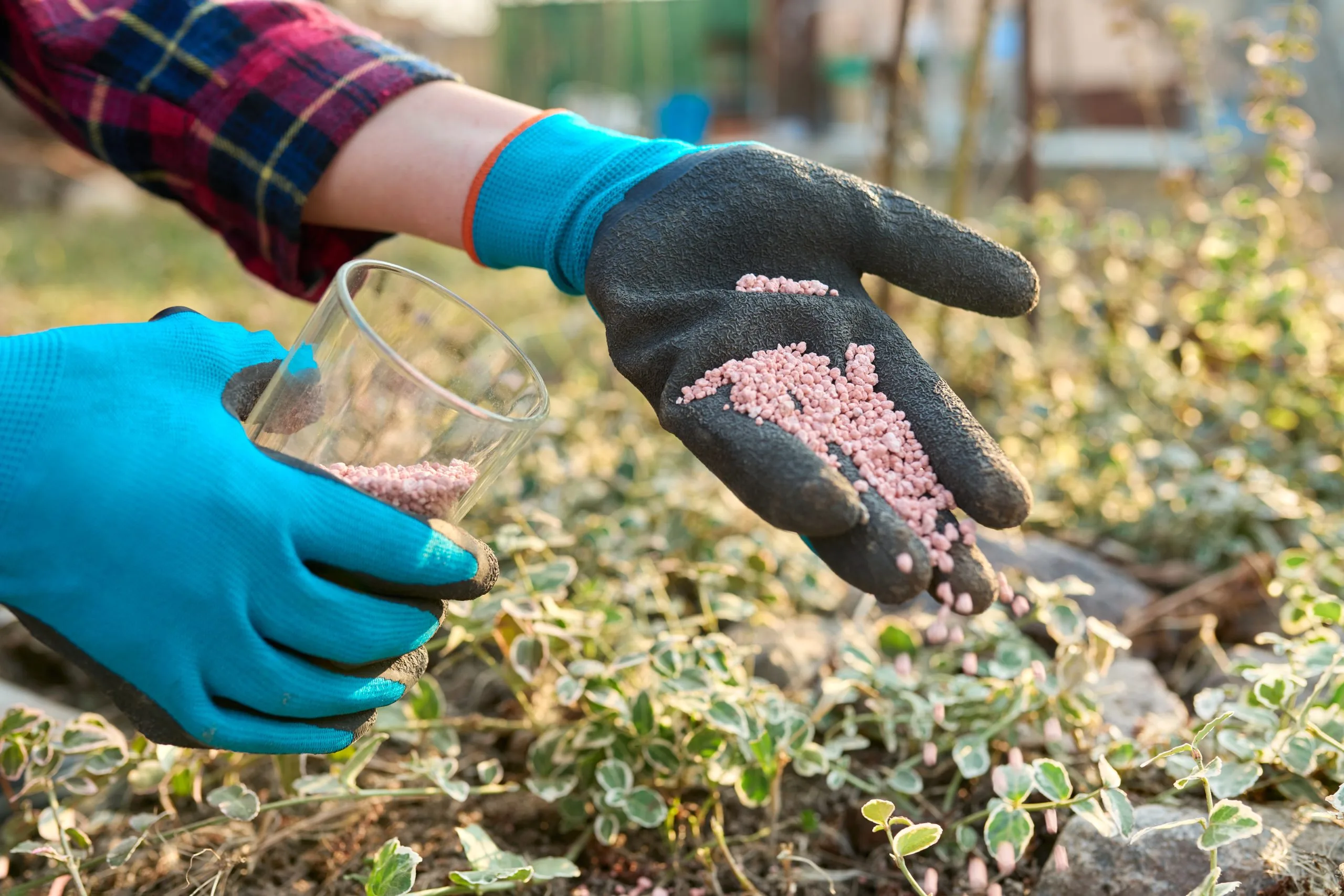 KSA Micronutrient Fertilizer Market Outlook to 2035 fertilizing-plants-spring-garden-with-chemical-mineral-graduated-fertilizers-scaled
