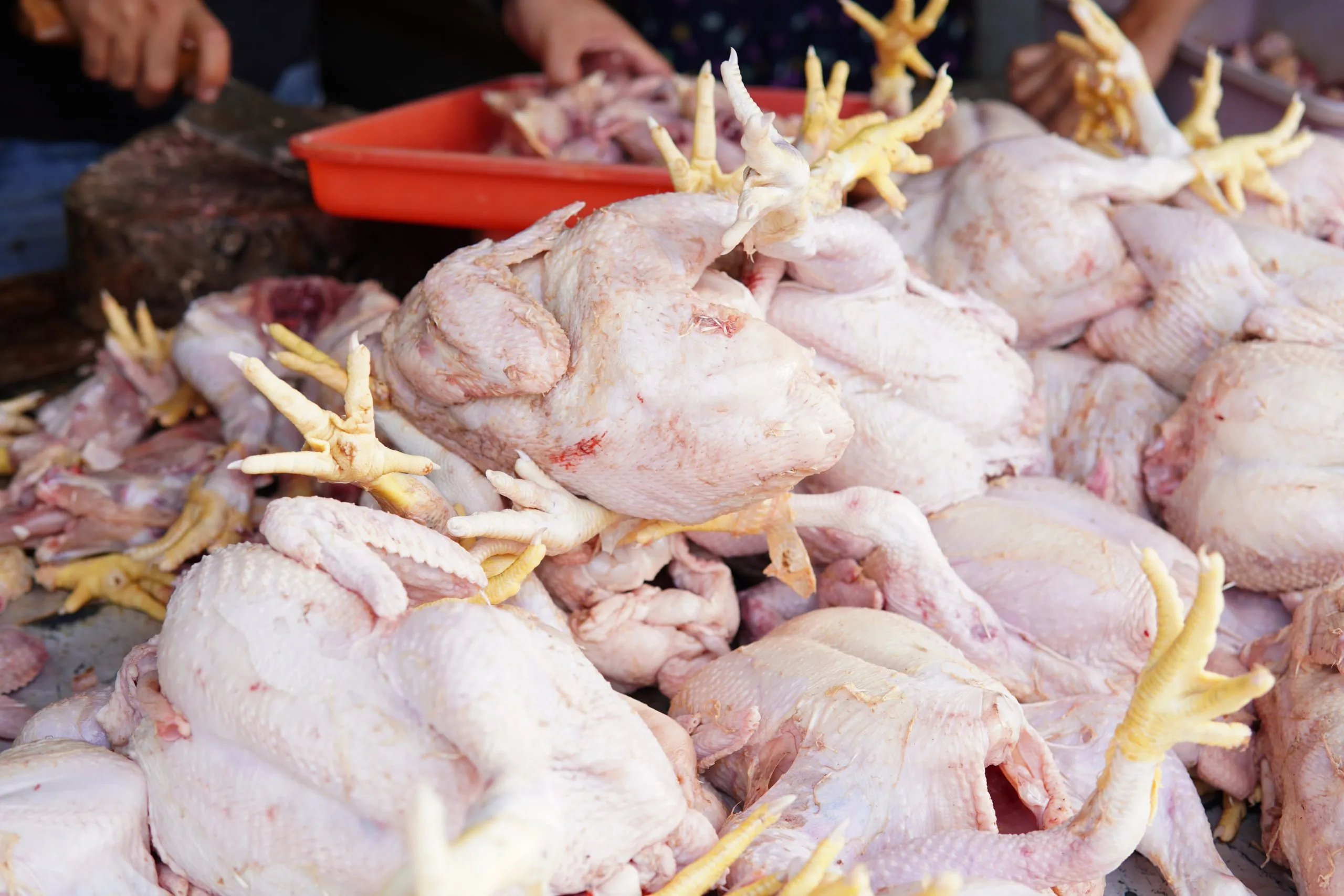 India Poultry Meat Market Surpasses INR 2.6 Trillion with Rapid Double Digit Growth fresh-raw-chicken-market-scaled