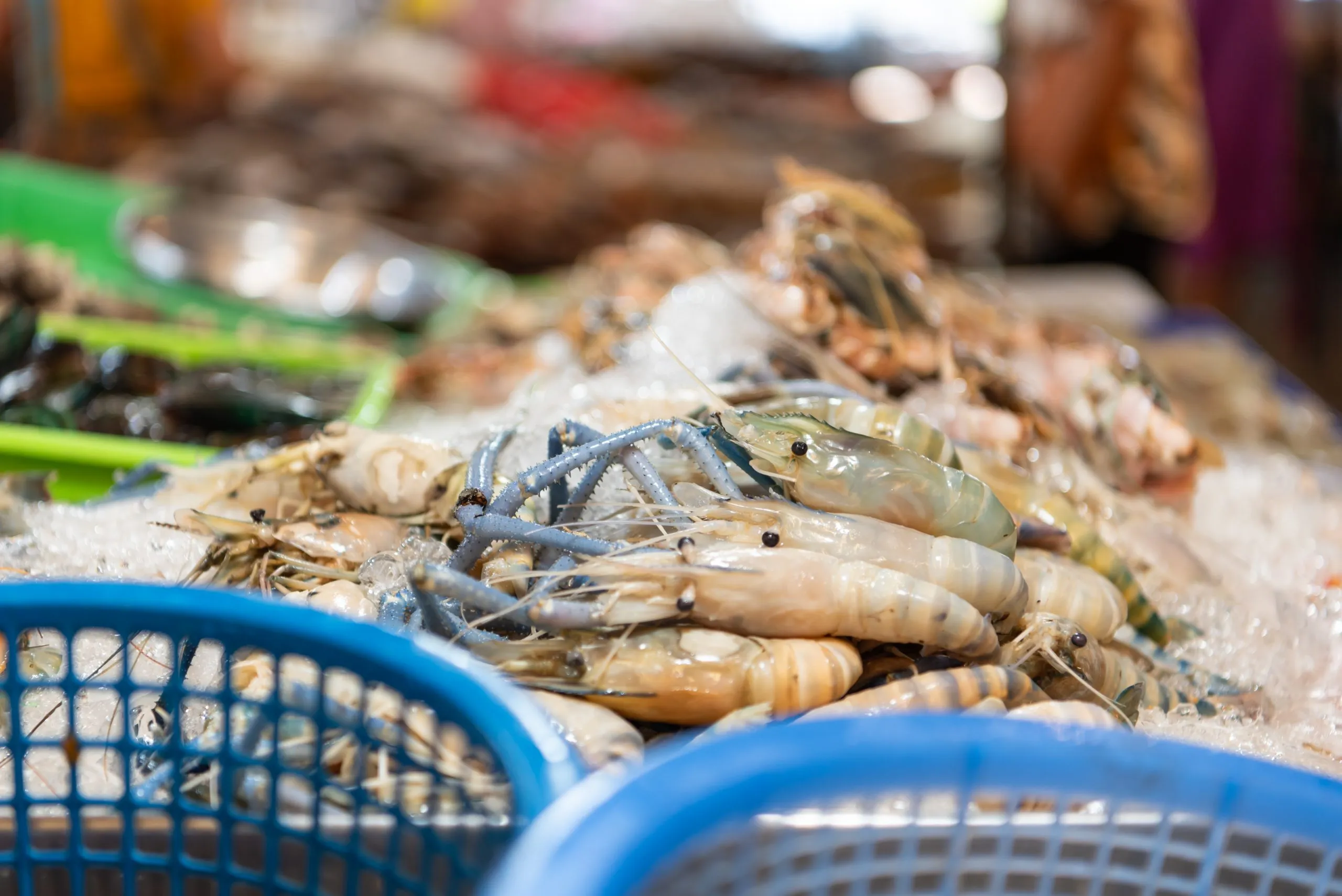Brazil Shrimp Market Outlook to 2035 fresh-raw-shrimp-giant-freshwater-prawn-premium-grade-can-cook-grilled-shrimp-by-grilling-with-charcoal-display-sale-thai-street-food-market-restaurant-bangkok-thailand-scaled