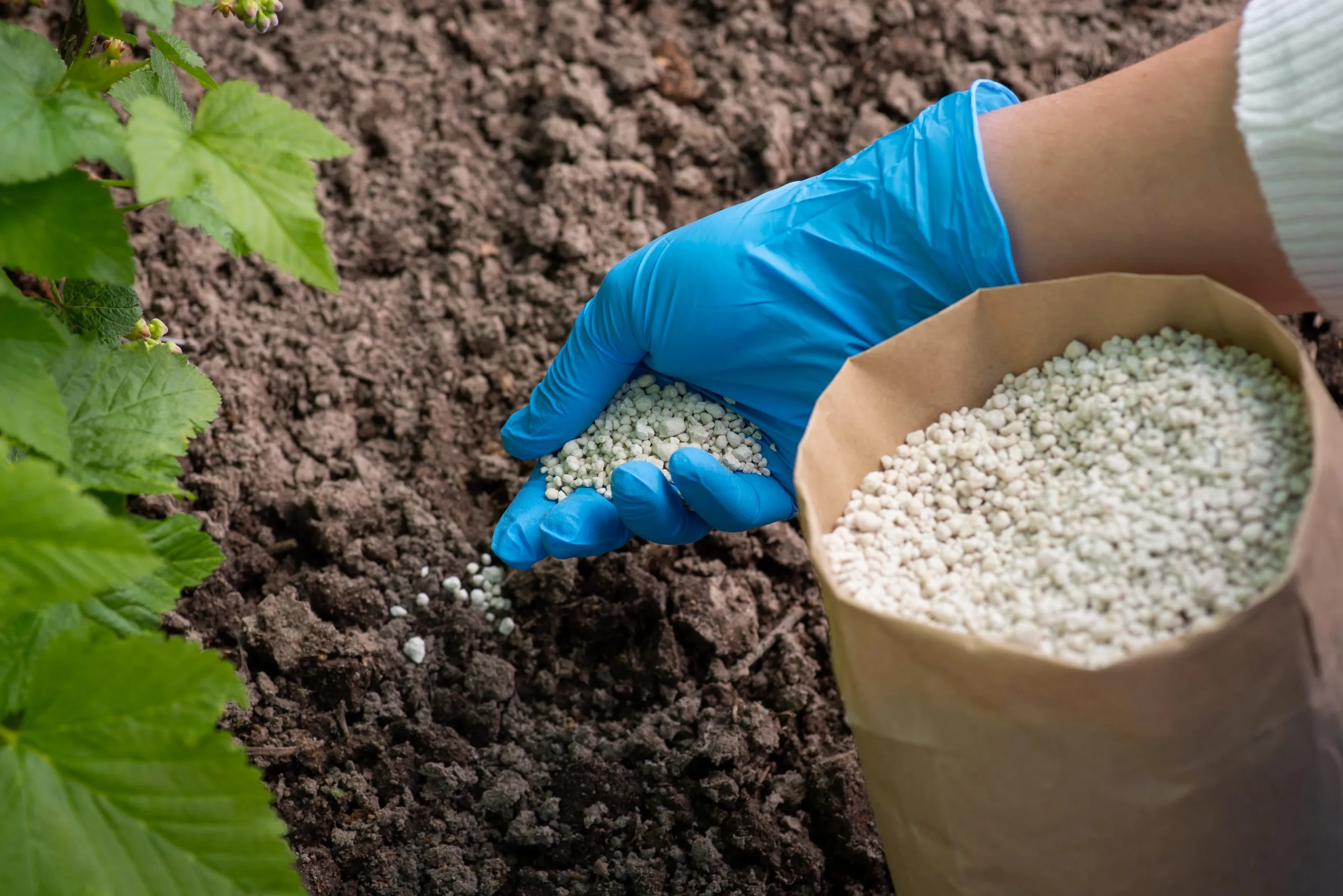 UK Micronutrient Fertilizer Market Outlook to 2035 gardener-fertilizing-plants-with-npk-fertilizer-scaled